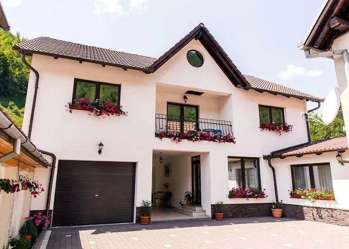 Rodica TransalpinaPensiune